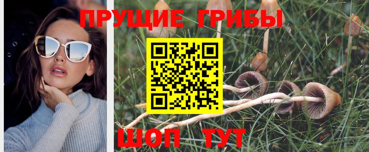 Галлюциногенные грибы Magic Shrooms  Вход с VPN  Ростов Великий 